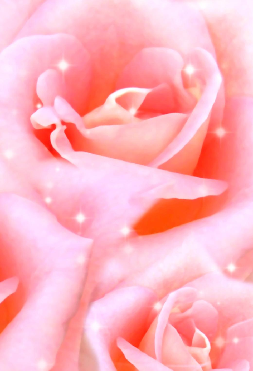 キラキラのバラ Iphone壁紙 Iphone視覚効果対応