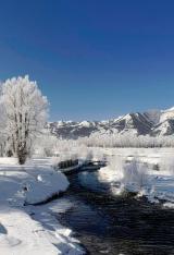 冬の川2